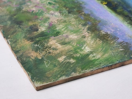 Lavender Fields and Brooms