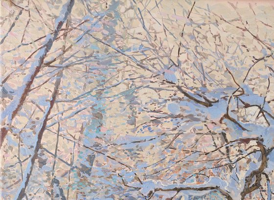 Apple Trees Covered in Snow