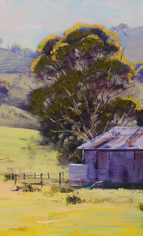 Farm shed Mudgee Australia by Graham Gercken