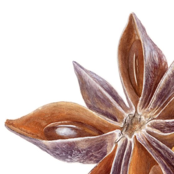 Star Anise