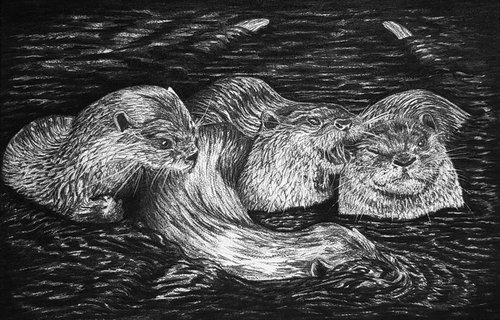 Otters at Play by Holly Whittaker