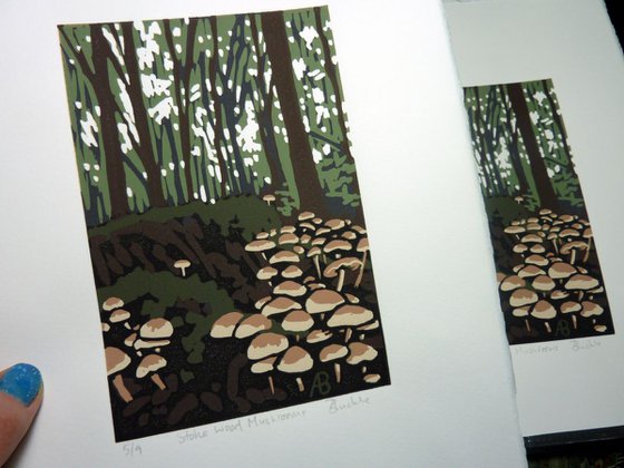 Stoke Wood Mushrooms, framed