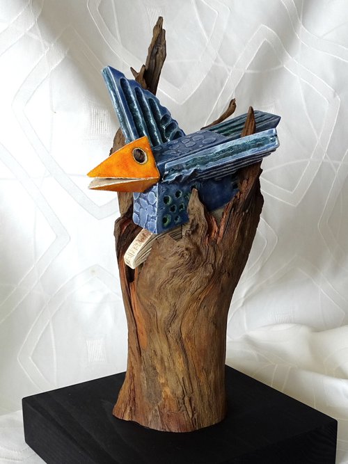 Insessorial bird by Zsolt Pinter