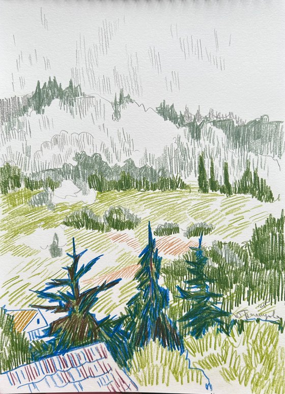 Foggy day in the mountain