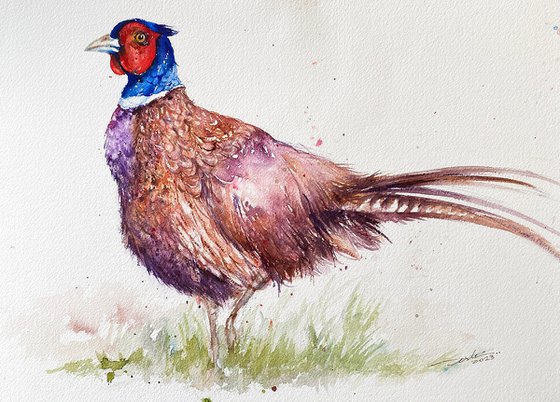 Pheasant Piper