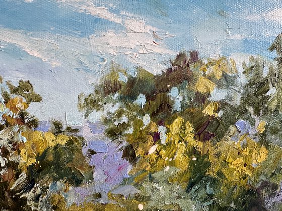 Blooming Meadows