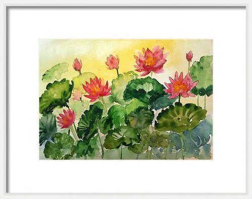 Sunset Waterlilies- Lotus in watercolours on paper by Asha Shenoy