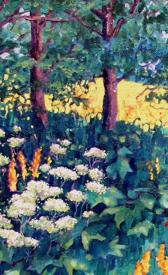 Meadow Walk
