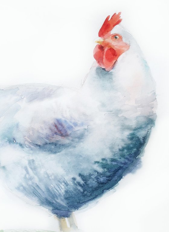 WATERCOLOR PAINTING BIRD Chicken