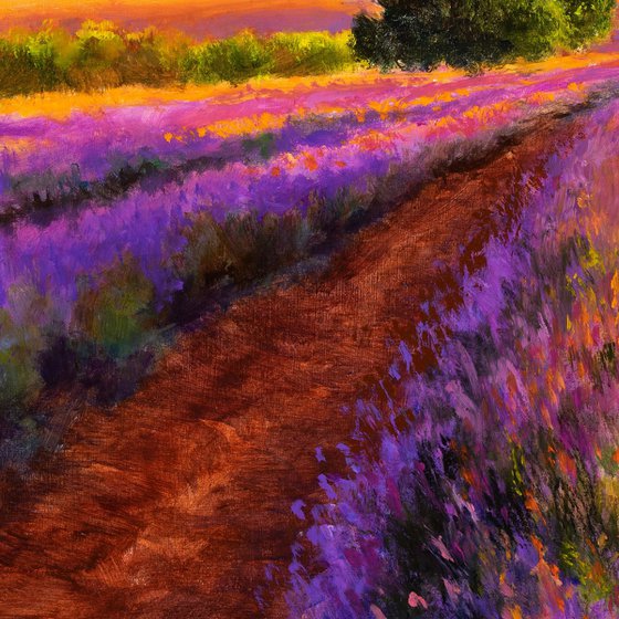 'A summer in Provence'