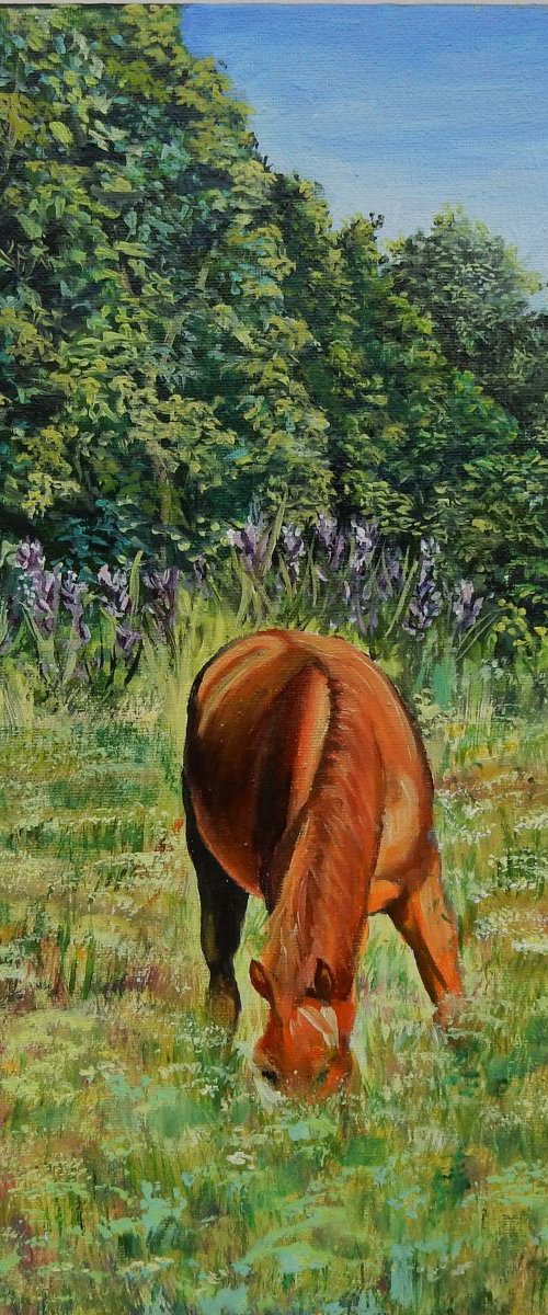 Horse in the field. by Vita Schagen