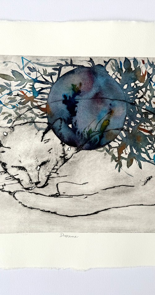 Dreamer by Randi Antonsen