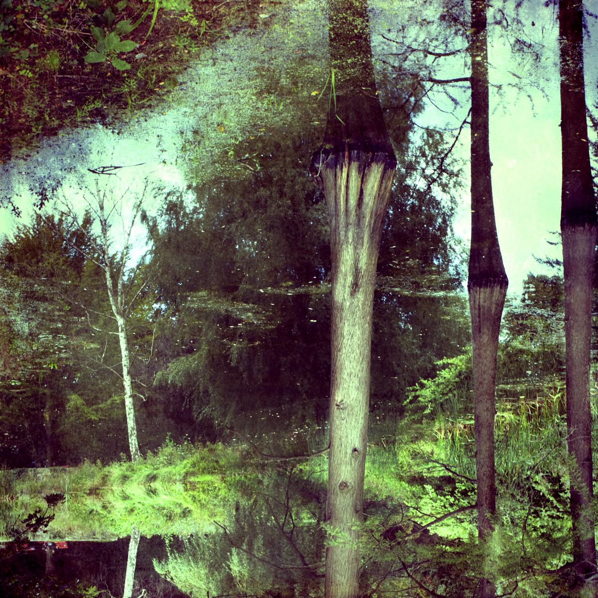 Abstract Photograph , Reflection By Chiara Vignudelli, 12 X 12, Artwork For Sale On Artfinder