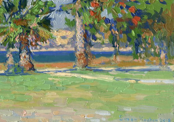 Palm trees on the beach