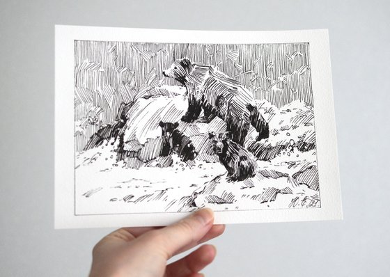 Family of bears on the river, small ink pen drawing, forest animals