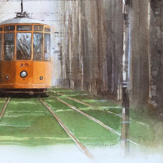 Vintage Tram Passing Through the Tree Tunnel