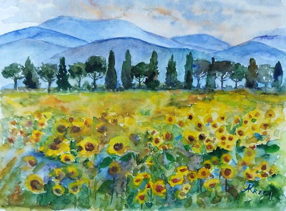 Field of yellow sunflowers