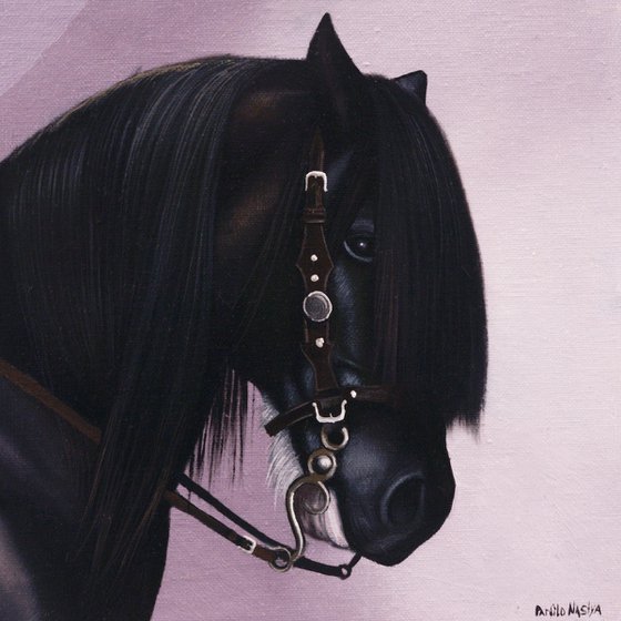 Horse Portrait 104