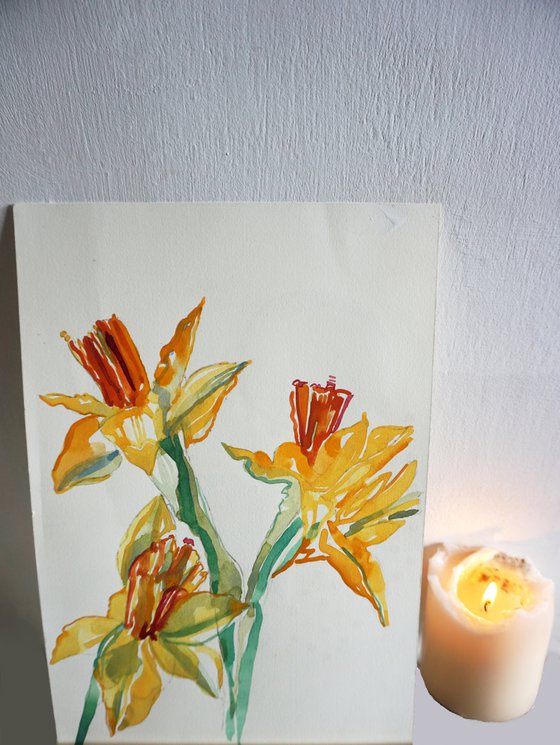 Daffodils