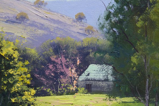 green fields Carcoar Australia