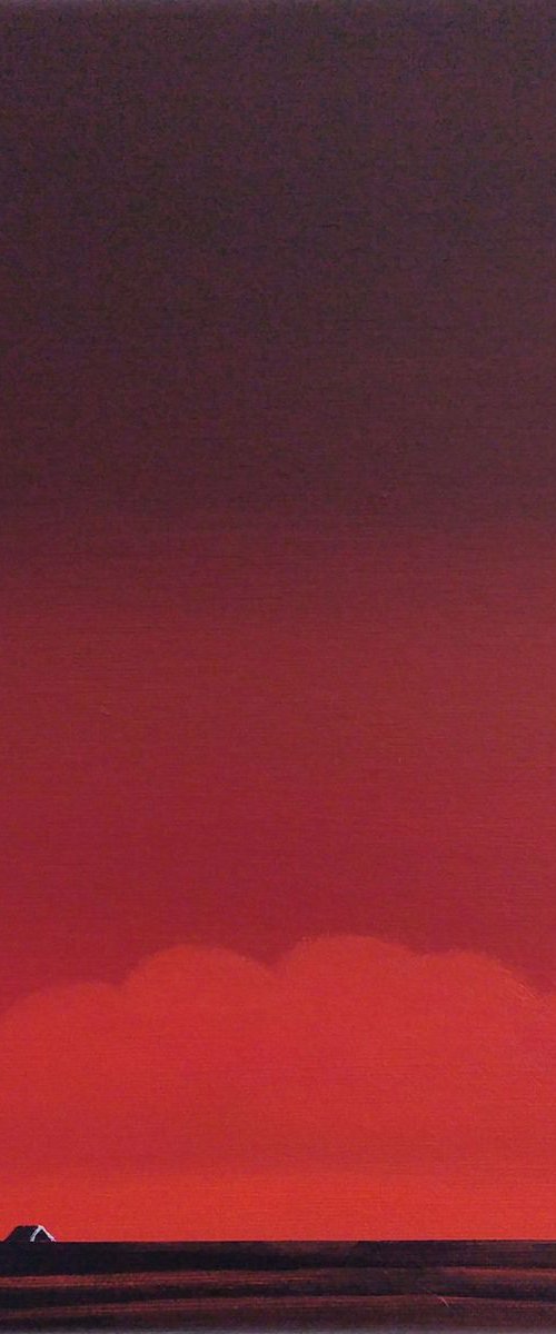 Yesterday evening (sunset in my polder) by Nelly van Nieuwenhuijzen