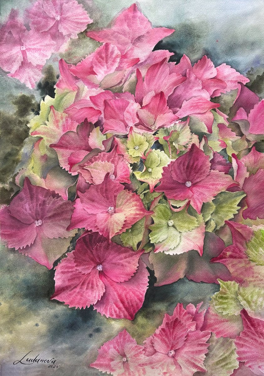 Photorealistic Botanical Watercolour By Yuliia Ludanova, 17 X 23", Pink Hydrangeas, Original Artwork