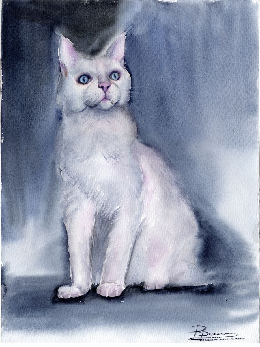 White cat Original Watercolor Painting by Olga Shefranov (Tchefranova)