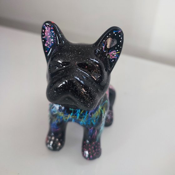 Galaxie dog (mini bulldog)