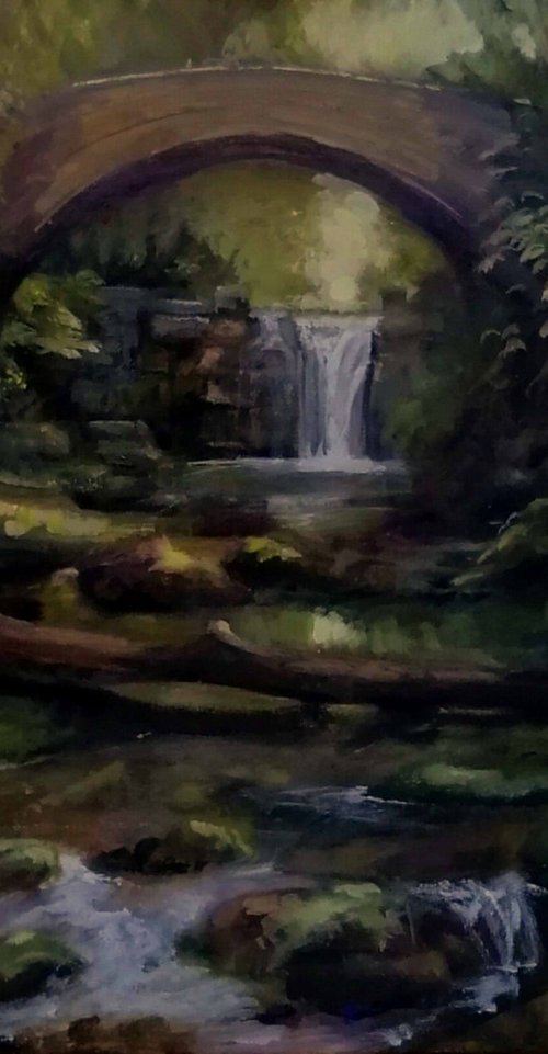 In the shadows by Alan Harris
