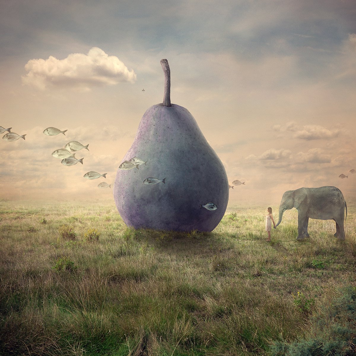 Surrealistic Animal Photograph By Nikolina Petolas, 33 X 33", Passing Strangers, Original Artwork