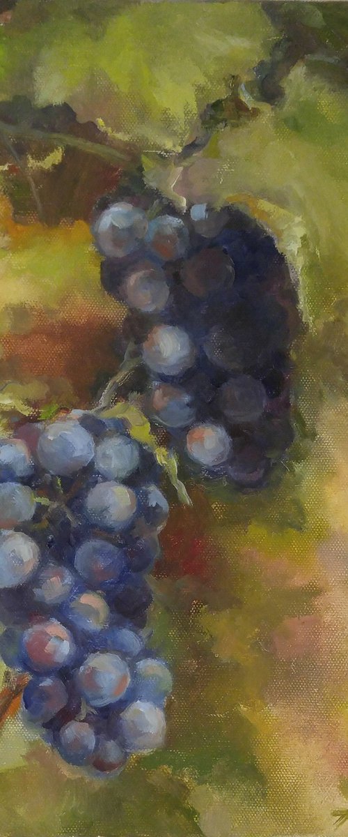 Grapes 2 by Alexander Koltakov
