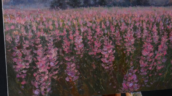 Sunset over the purple flowers - summer painting