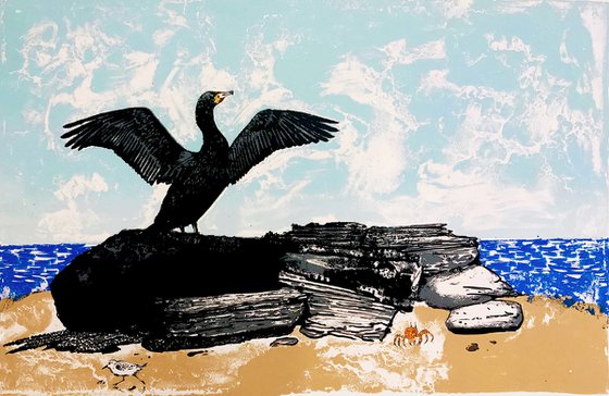 Cormorant, Drying Wings
