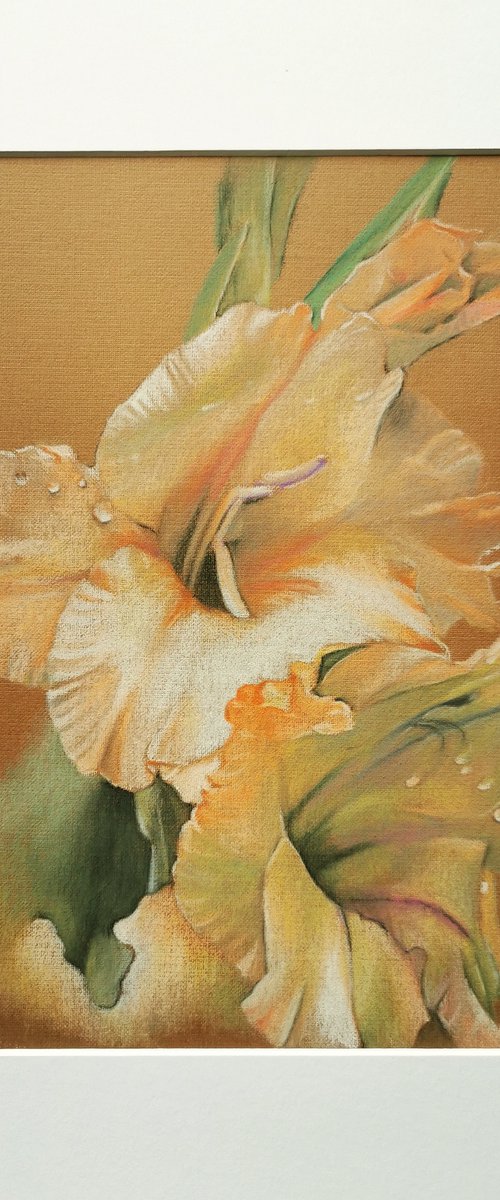 Gladiolus by Modestas Mykolaitis