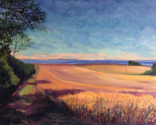 "Fields of Barley, Upper Largo, Fife' by Stephen Howard Harrison