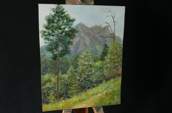 Rain in the mountains -  mountains painting