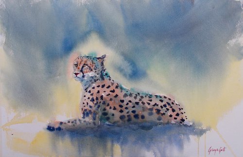 cheetah 3 by Giorgio Gosti