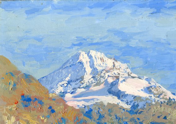 Morteratsch Glacier. Alps