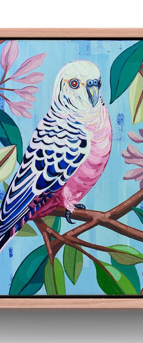 Budgie Beauties: Sparky by JULIE LYNCH