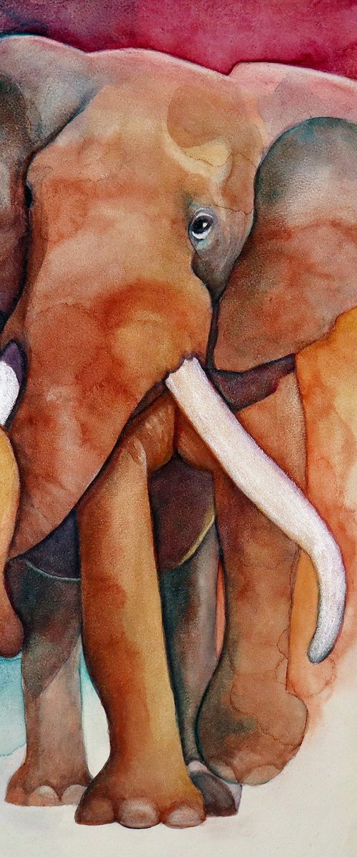 Bull Elephant Walk by Catherine Twomey