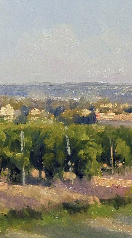 Vineyards in Provence by Pascal Giroud