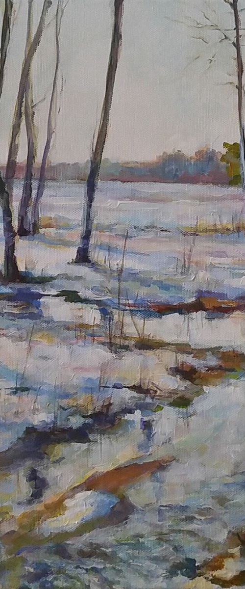 Spring stream 3 (12x16'') by Alexander Koltakov