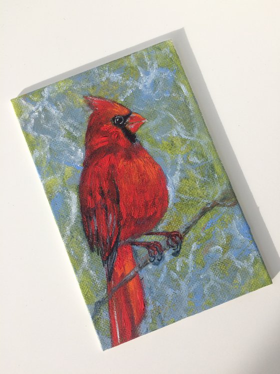 Bird oil painting - Red cardinal small canvas - Christmas gift for bird lover.