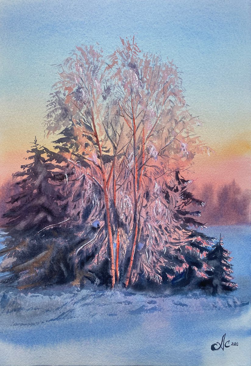 Pink Frost by Alla Semenova