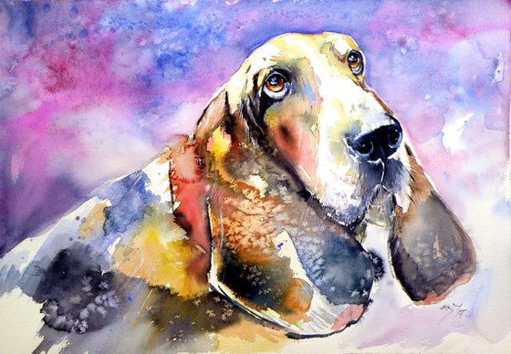 Cute basset hound