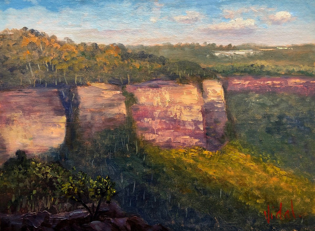 Getting Dark at Hargraves lookout Blackheath - Plein air painting by Christopher Vidal