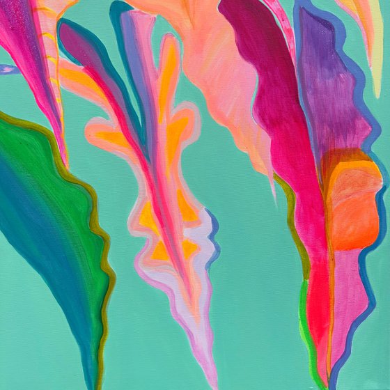'Rainbow Alocasia'