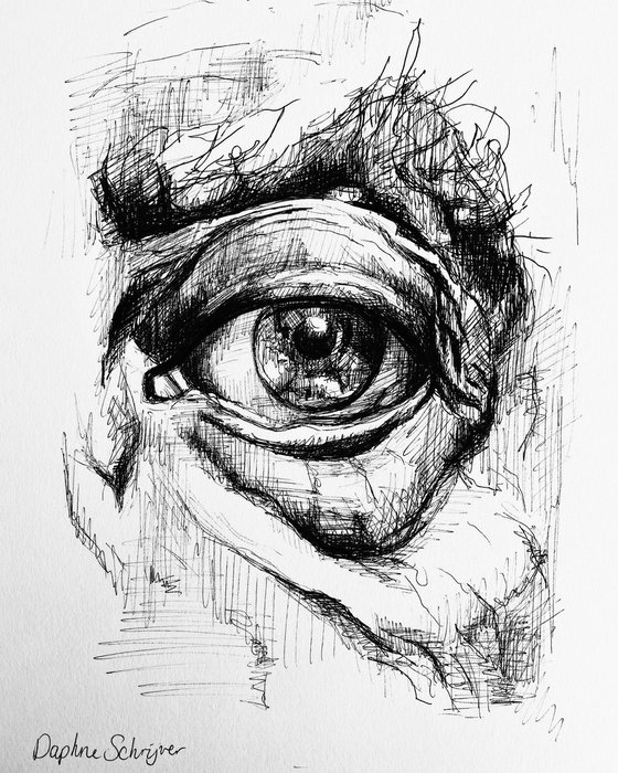 Drawing Wisdom comes with Age
