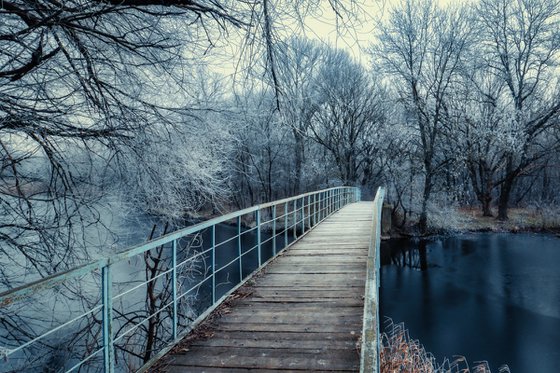 Frozen park