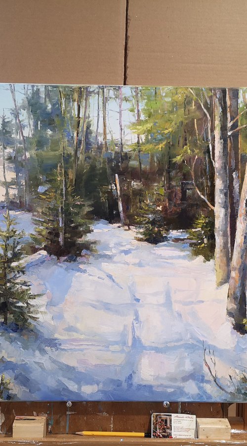 The path to the frozen lake by Alexander Koltakov